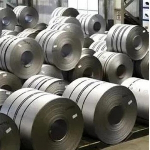 全国人大代表、太钢集团党委书记、董事长盛